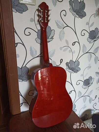 Акустическая гитара vision