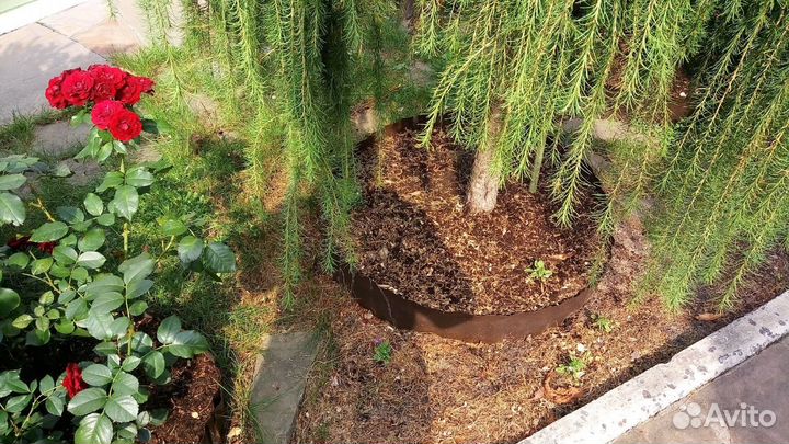 Перегной удобрение для земли