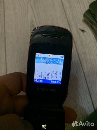 Samsung SGH-C250
