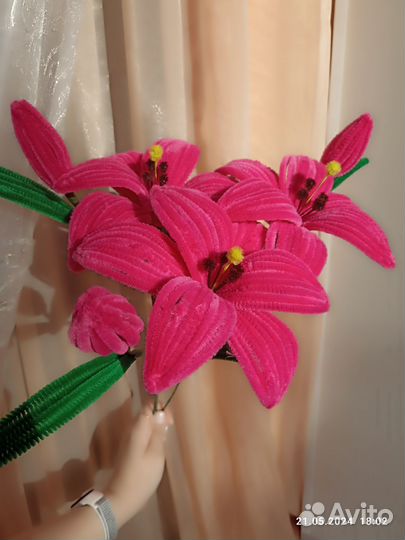 Цветы - Лилии