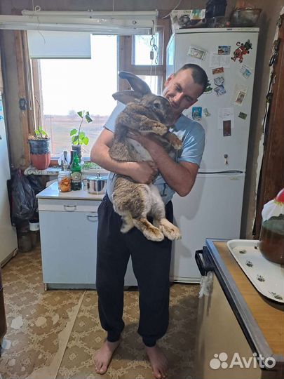 Водитель, механизатор - комбайнер, сварщик