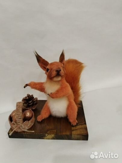 Белка проказница (ручная работа)