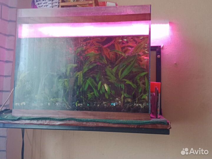Аквариум