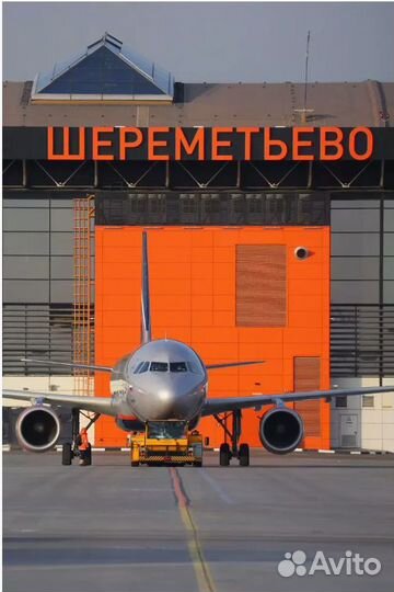 Упаковщик бортового питания в аэропорт