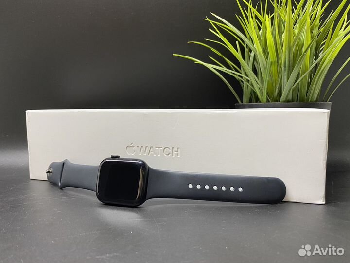 Apple Watch Series 8