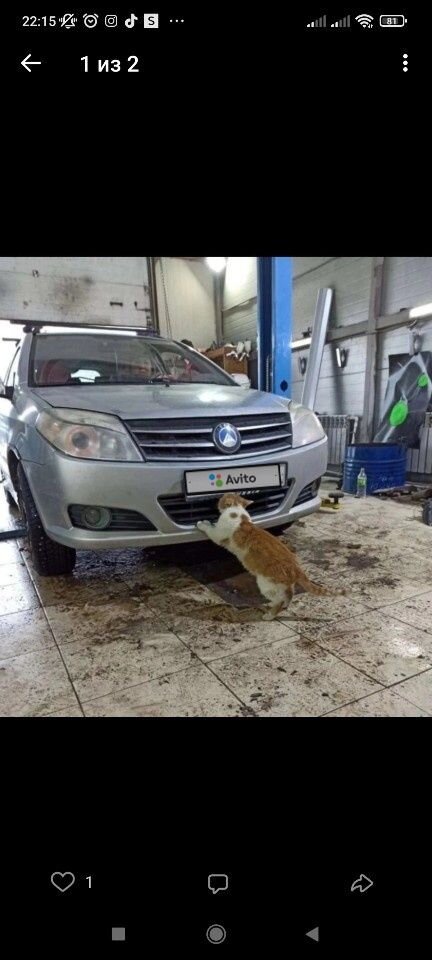 Geely MK Cross: фото владельца