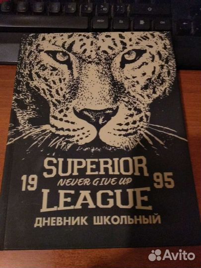 Дневник школьный