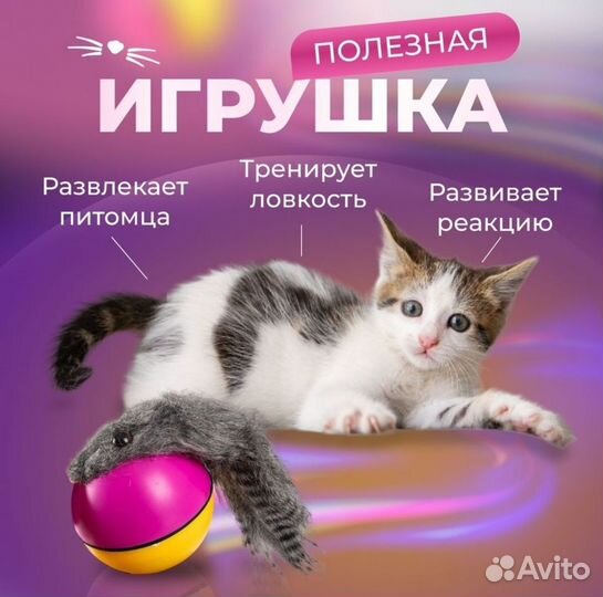 Интерактивная игрушка для кошек