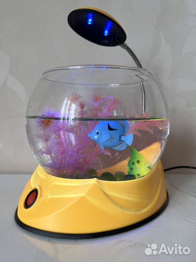 Аквариум