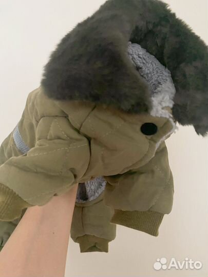 Комбинезон для собак мелких пород