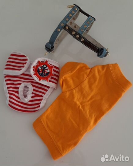 Одежда для собак