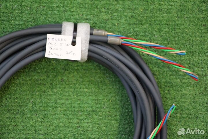 Pioneer OFC Star Quad, Japan