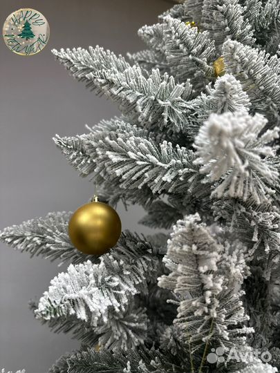 Ёлка снежная Сибирская