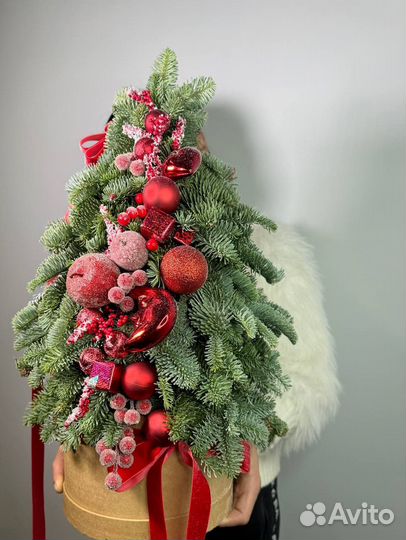 Елка живая из нобилиса