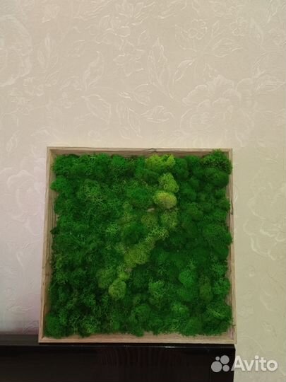 Домашний декор, флорариумы, подарки ручной работы