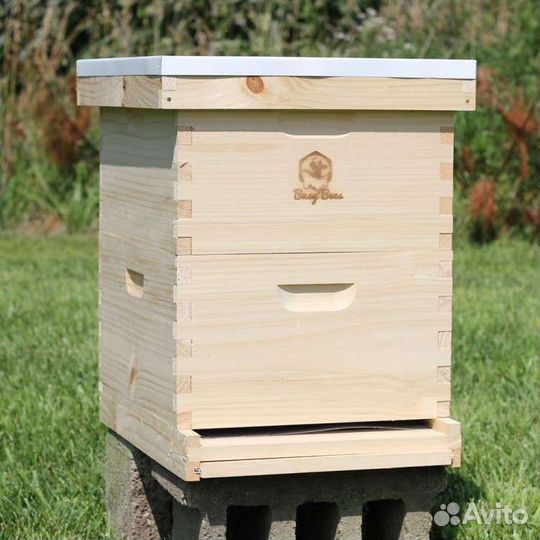 Улей с пчелами