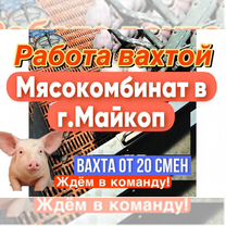 Упаковщик вахтой на мясокомбинат от 20 смен