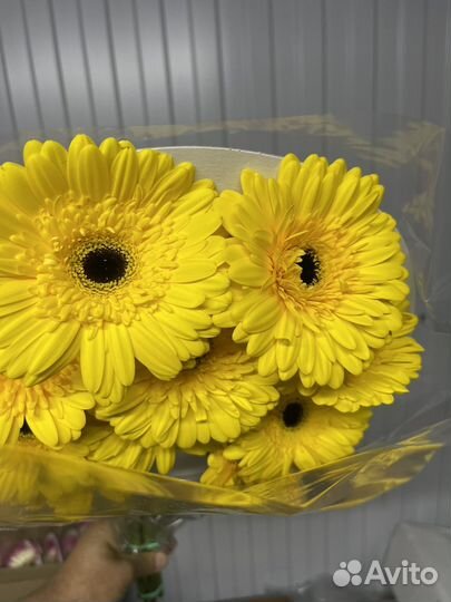 Герберы букет