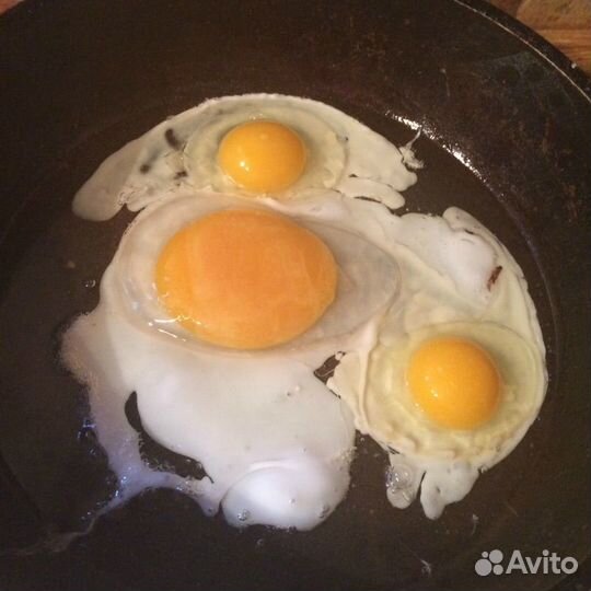 Яйцо домашнее куриное гусиное