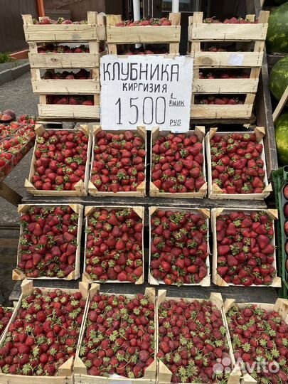 Клубника свежая