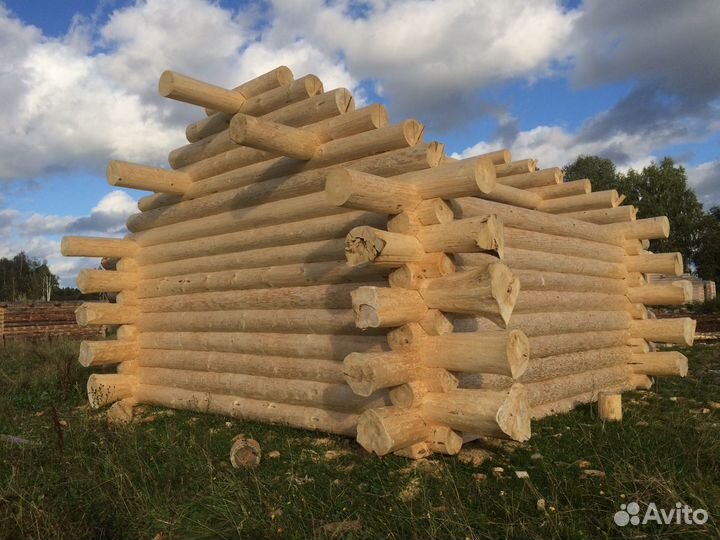 Срубы, Старица, бани, дома