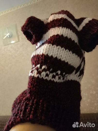 Кофта для собаки, или кошки