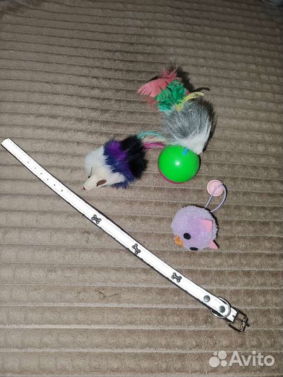 Игрушки для кошек ошейник любая 100