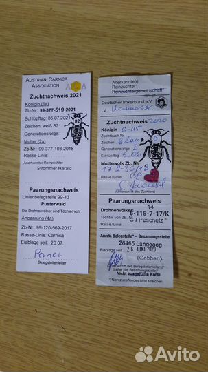 Пчеломатки карника