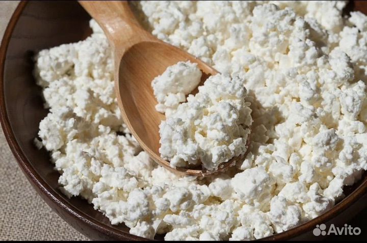 Домашний творог