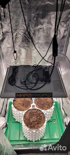 Готовый гроубокс