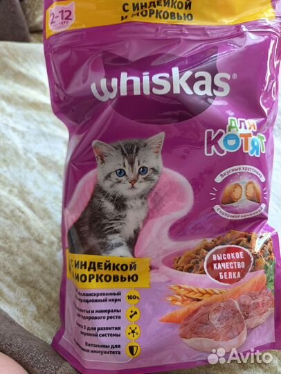 Сухой корм для котят