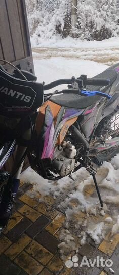 Avantis FX 250 Lux