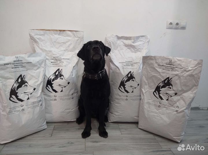 Корм супер премиум класса Promenad для собак