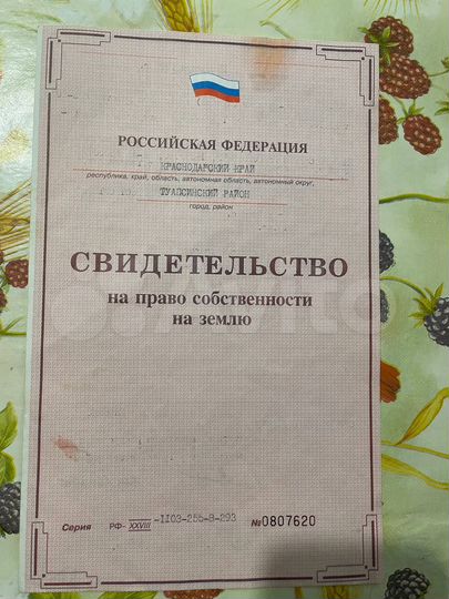 Участок 5,2 сот. (СНТ, ДНП)