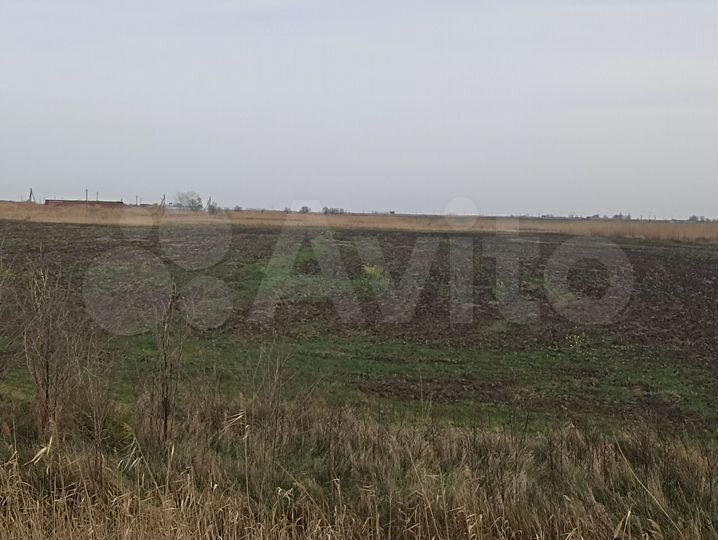 Участок 45,29 га (СНТ, ДНП)