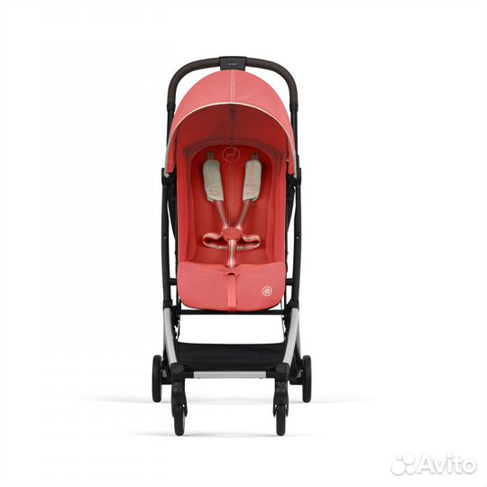 Прогулочная коляска Cybex Orfeo Hibiscus Red