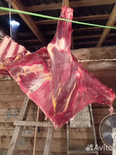 Мясо говядина