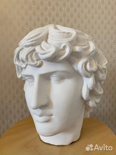 Гипсовая голова Антиной, Сократ