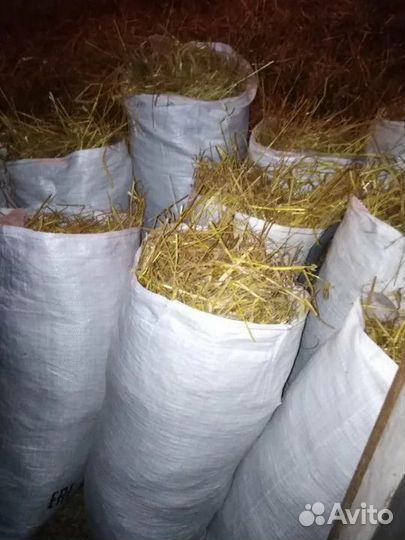 Солома- в мешках