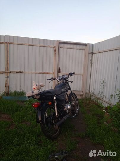 Альфа Raser 125