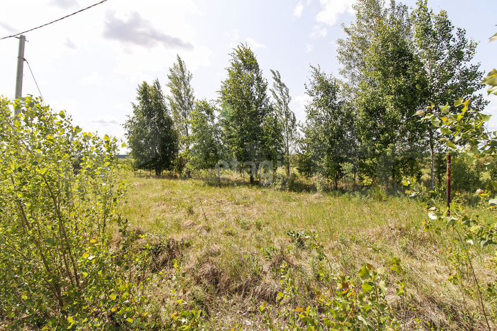 Участок 8,8 сот. (СНТ, ДНП)