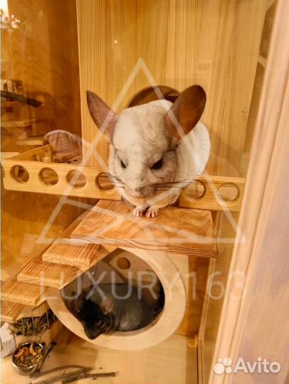 Домики клетки для животных