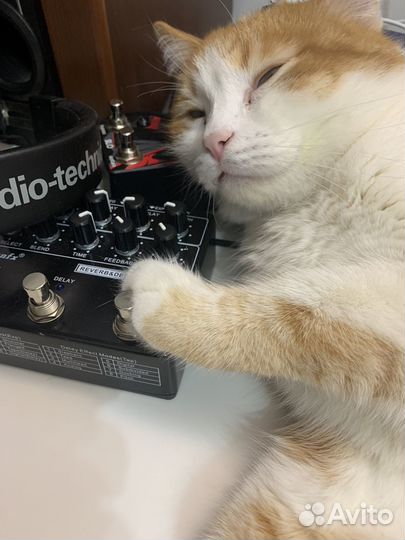 Звукозапись, аранжировка, песни на заказ