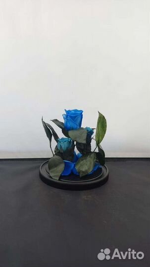 Роза в колбе