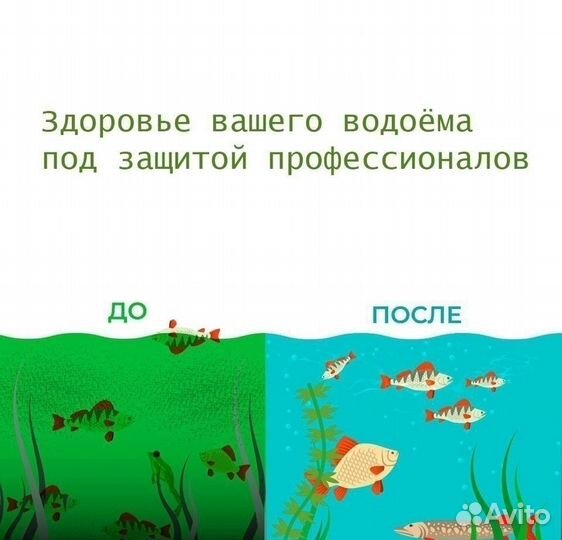 Хлорелла для очистки прудов