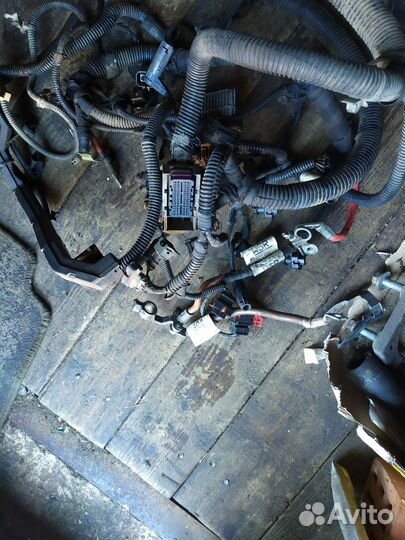 Проводка Opel Astra H дизель 1.7 cdti 2004-н.в