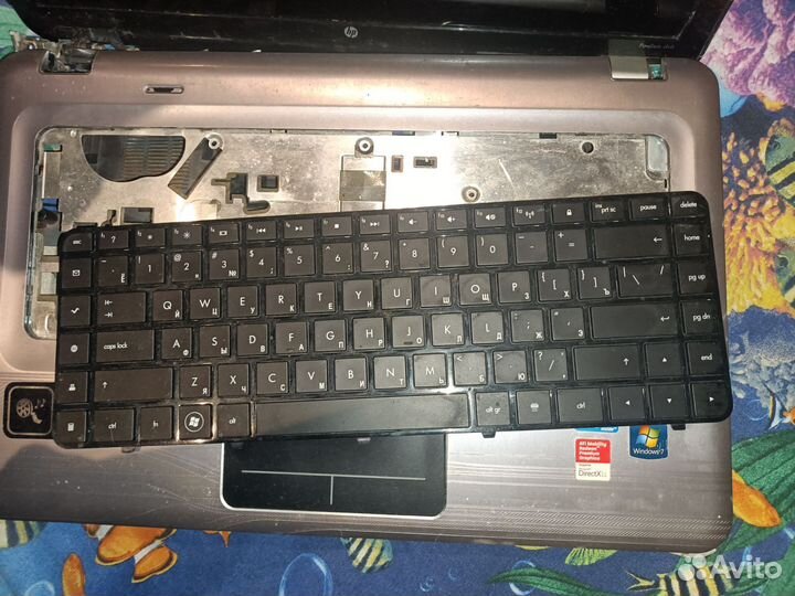 Ноутбук hp