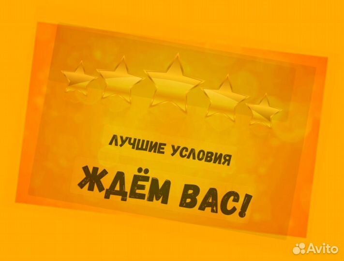 Подсобный рабочий Аванс еженедельно без опыта /спецодежда Хорошие условия