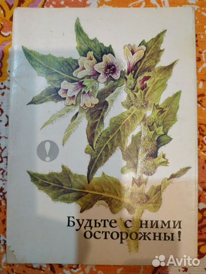 Открытки набор