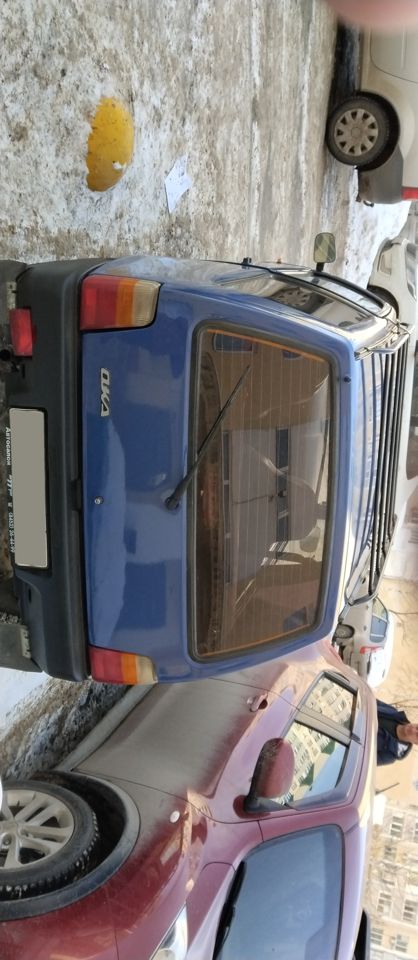 ВАЗ (LADA) 1111 Ока: фото владельца